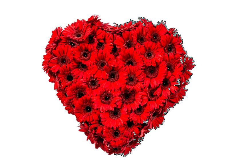 background removal service , Heart shape image clipping